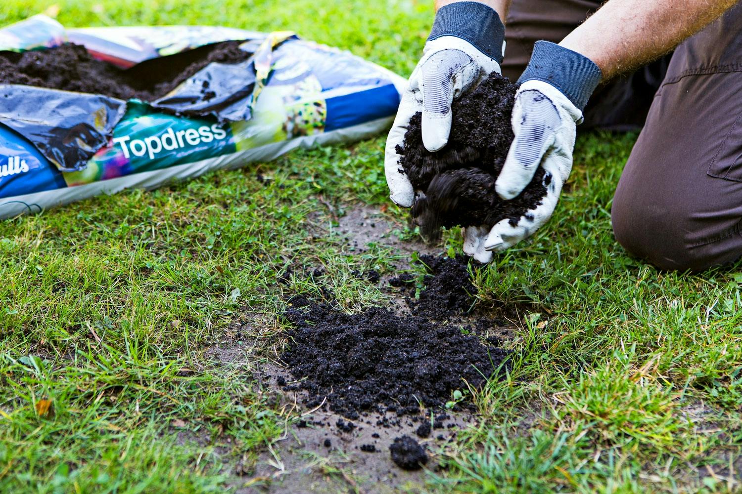 Slik får du en perfekt plen